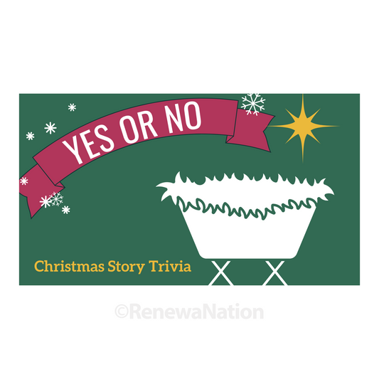 Yes or No Christmas Trivia Game