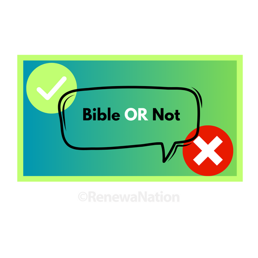 Bible or Not Screen Game